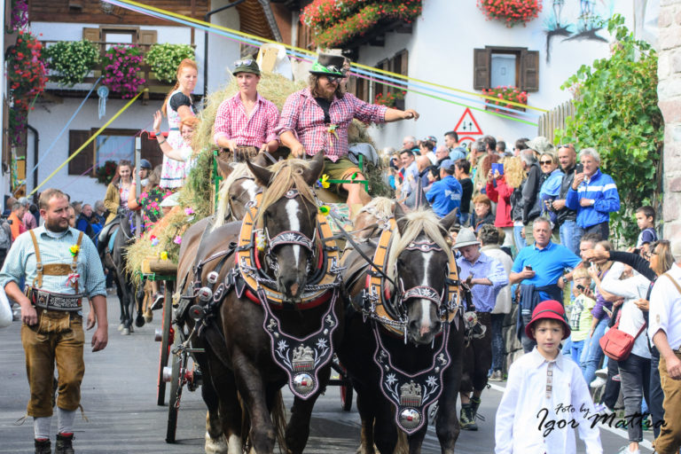 Festa Se Desmonteghea (transumanza) a Falcade